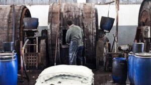 What is Bovine Leather: A Detailed Explanation - Leather News