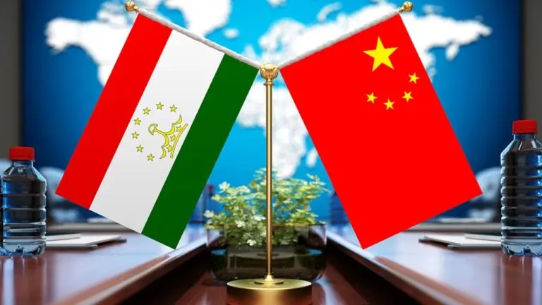 Chinese Investments Ready to Establish Tannery and Wool Factory in Tajikistan