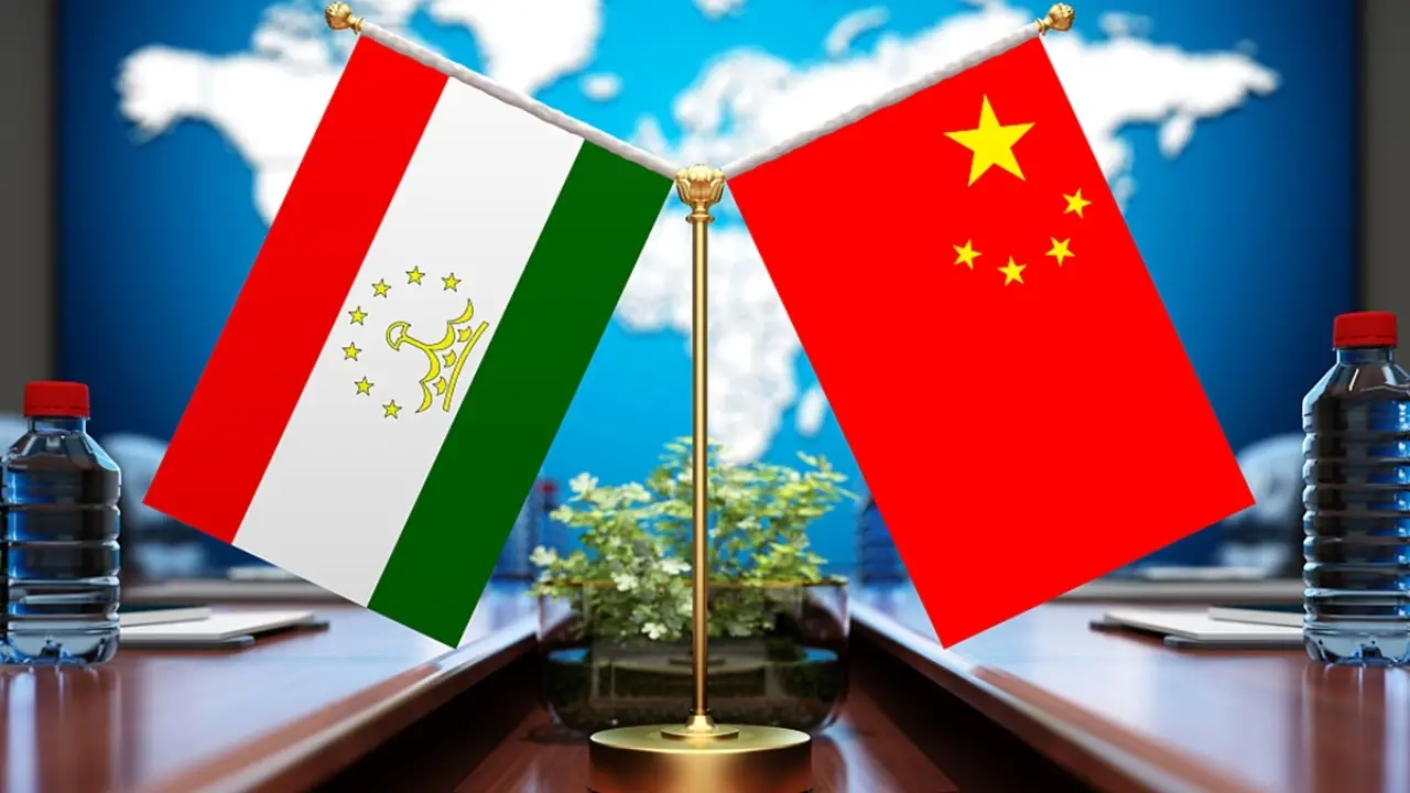 Chinese Investments Ready to Establish Tannery and Wool Factory in Tajikistan