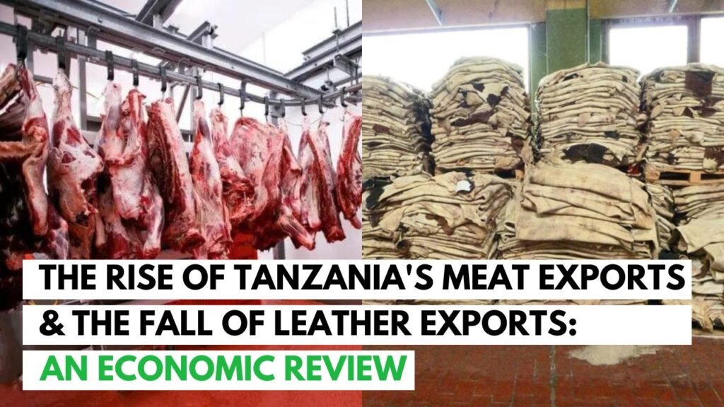 The Rise of Tanzania's Meat Exports & the Fall of Leather Exports: An Economic Review