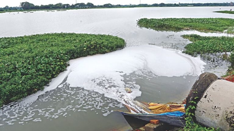 TNPCB Fines a Tannery in Vaniyambadi $3000 for Effluent Discharge into Palar River