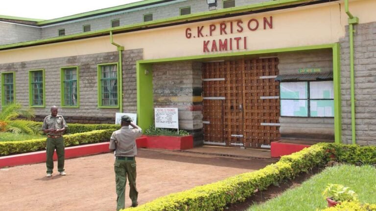 Kenyan Government Revitalizes Leather Industry in Kamiti and Kitengela Prisons