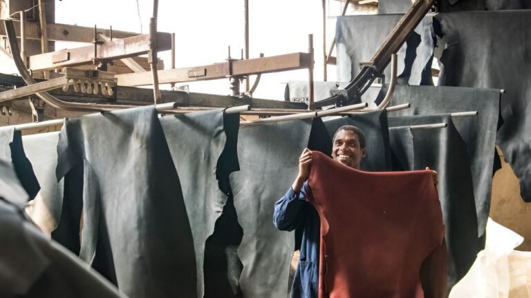 The Future of Ethiopian Leather Industry: Challenges, Innovations, and Sustainability