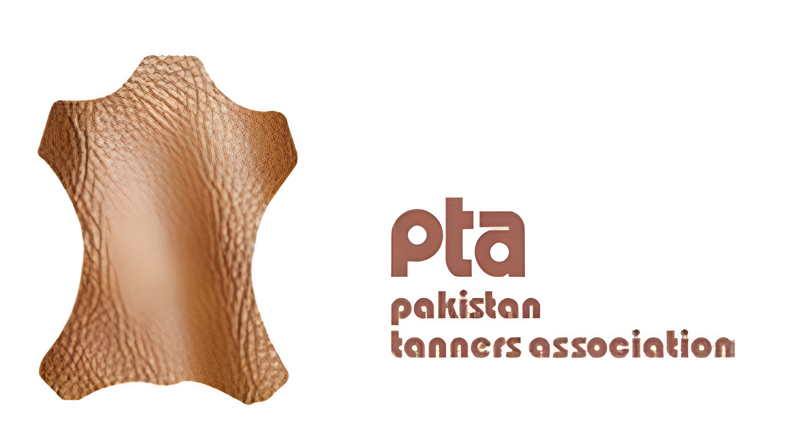 Pakistan Tanners Association elects new office bearers for 2024-2026