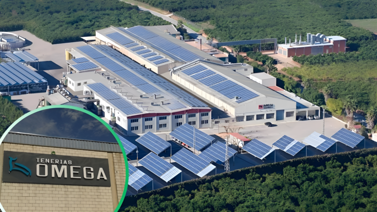 Valencian Leather Maker Inpelsa Wins Bid to Take Over Tenerías Omega and Save 44 Jobs