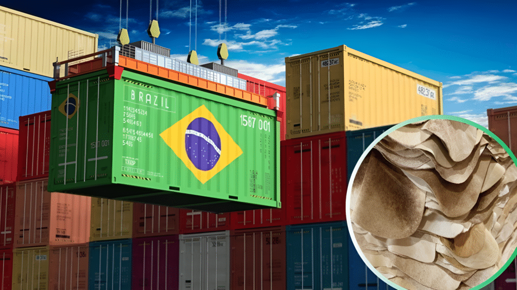 Brazil’s Leather Exports Reach $103.1 Million in March With Mixed Signals