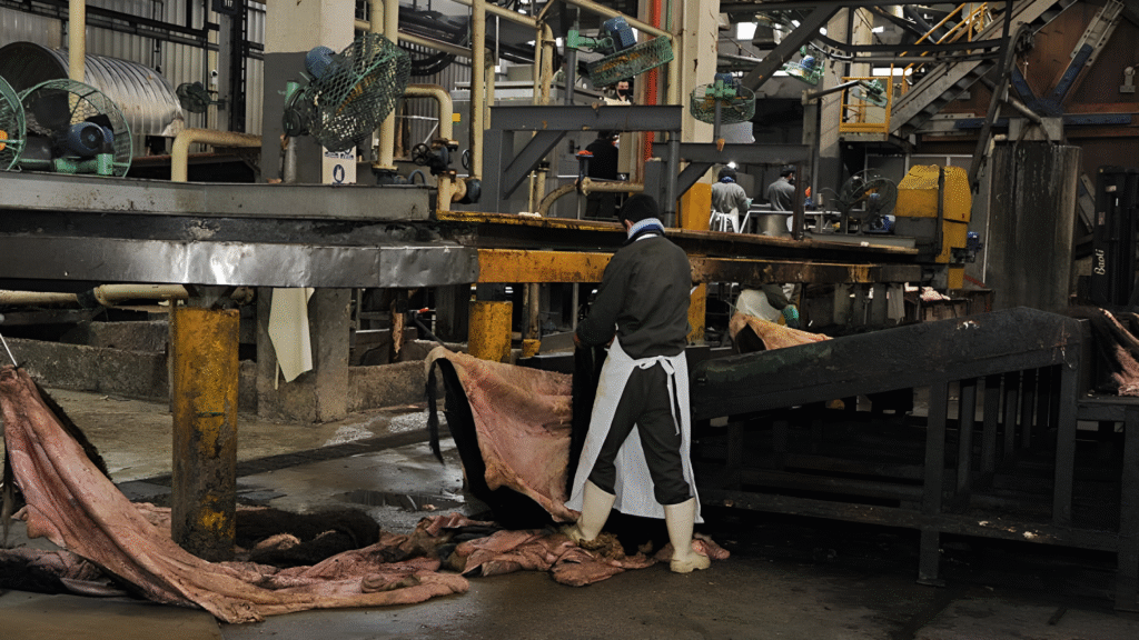 Sadesa Owned Paycueros in Uruguay Faces Worker Strike After Sudden Layoffs