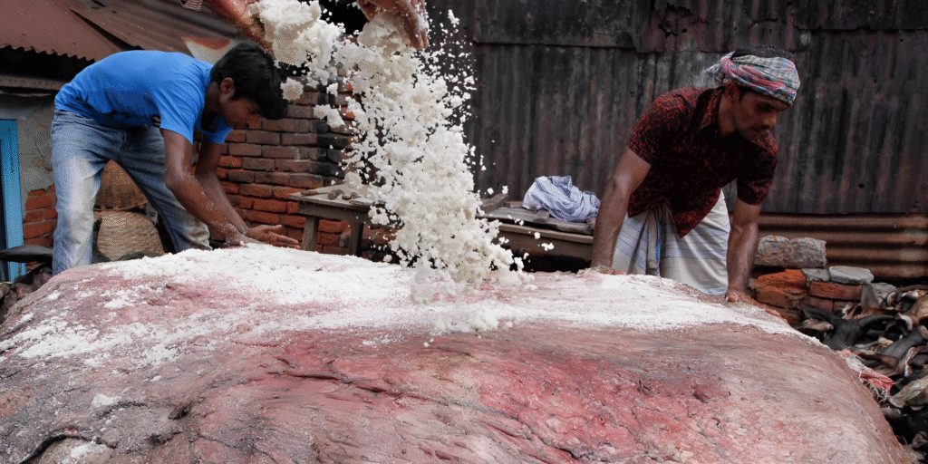 Bangladesh Government Plans Major Support to Preserve Rawhides During Eid-ul-Azha
