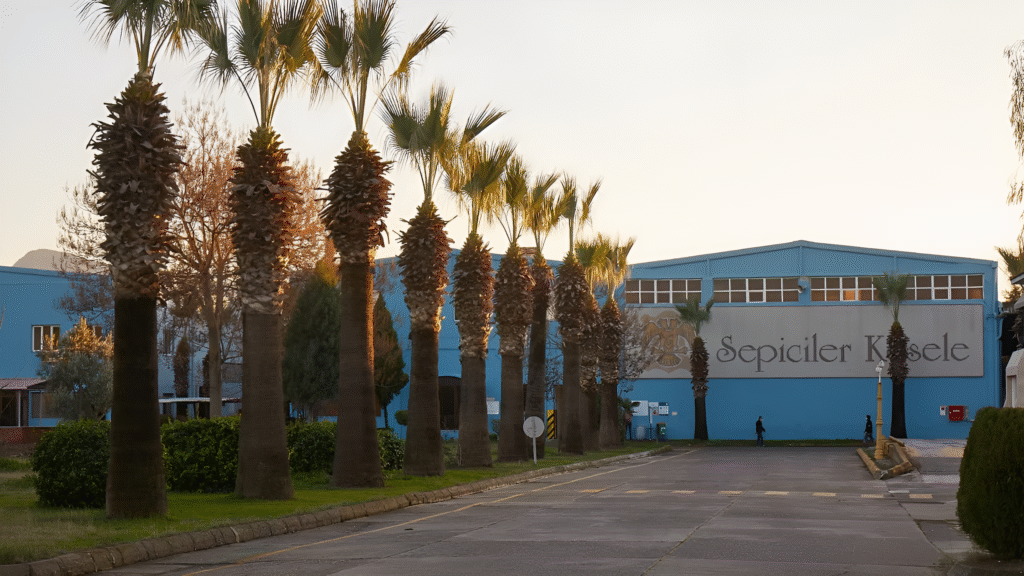 Sepici Shuts Down Izmir Tannery after 96 Years and Launches Global Venture
