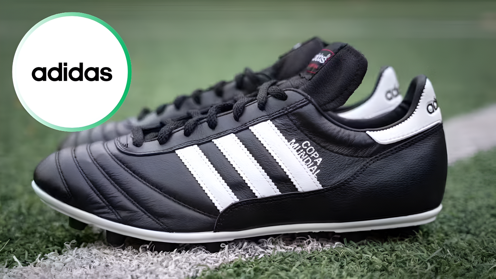 Adidas Ends Use of Kangaroo Leather After Activist Group Campaign