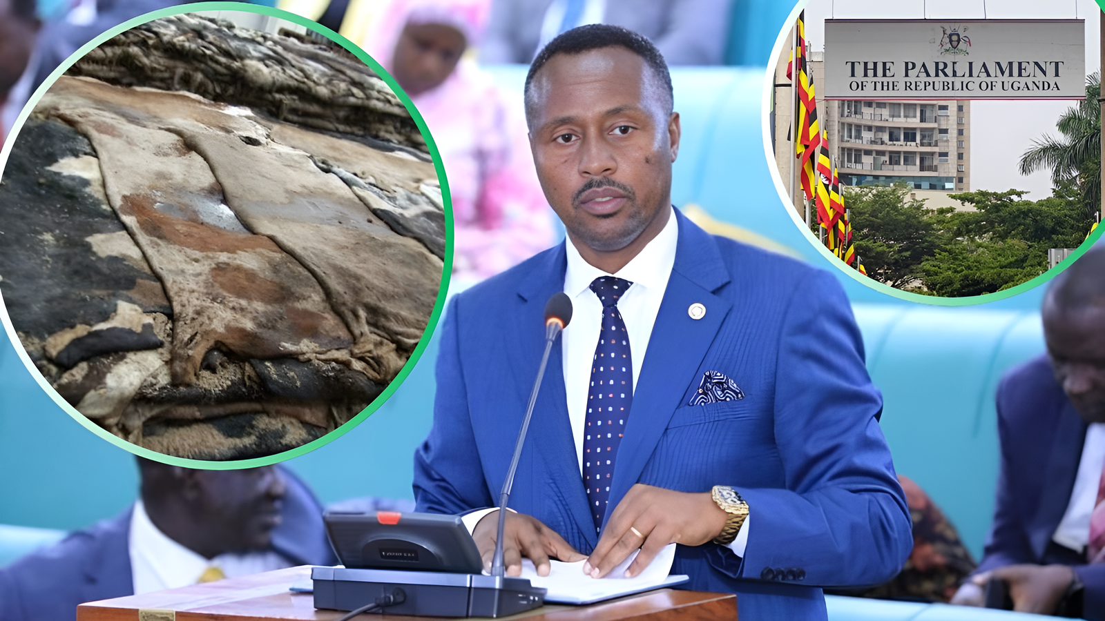 Uganda Imposes New Export Tax on Hides to Boost Local Leather Industry