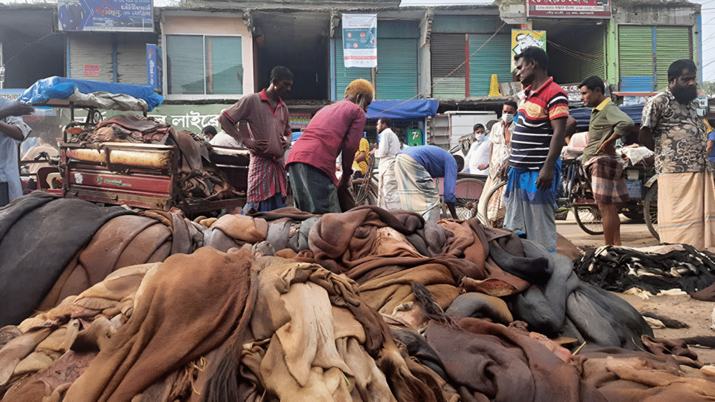 Rawhide Prices in Bangladesh Dip Below Official Rates Again Despite Government Hike