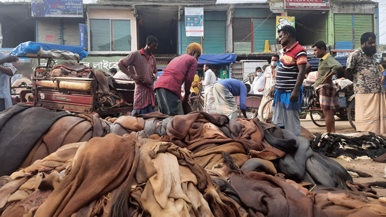 Rawhide Prices in Bangladesh Dip Below Official Rates Again Despite Government Hike