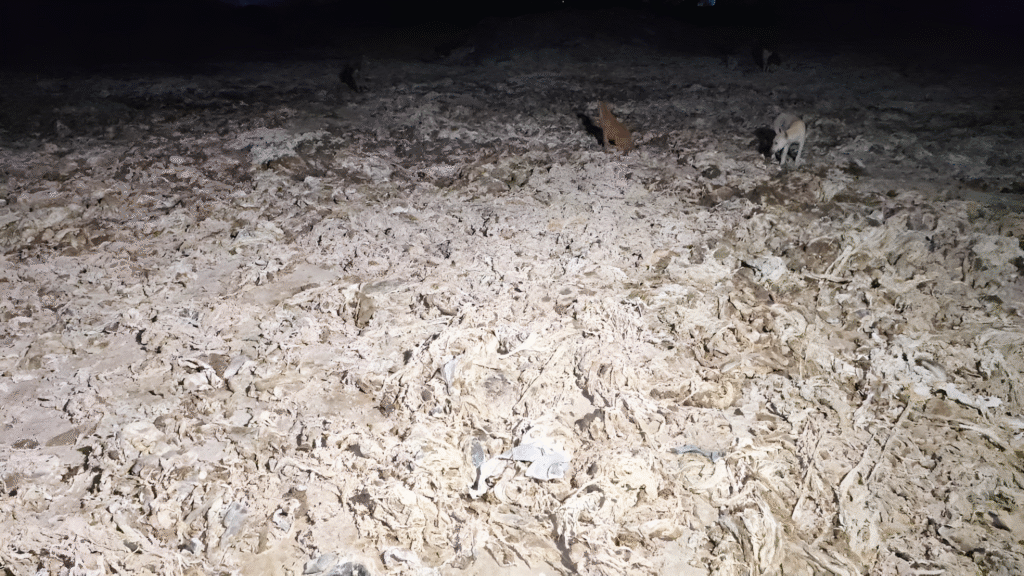 Vaniyambadi Residents Seize Trucks Carrying Leather Waste from Local Tanneries to Stop Illegal Dumping
