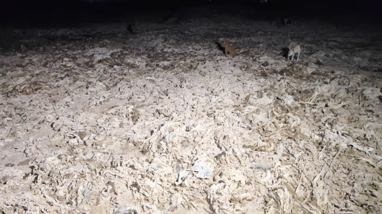 Vaniyambadi Residents Seize Trucks Carrying Leather Waste from Local Tanneries to Stop Illegal Dumping