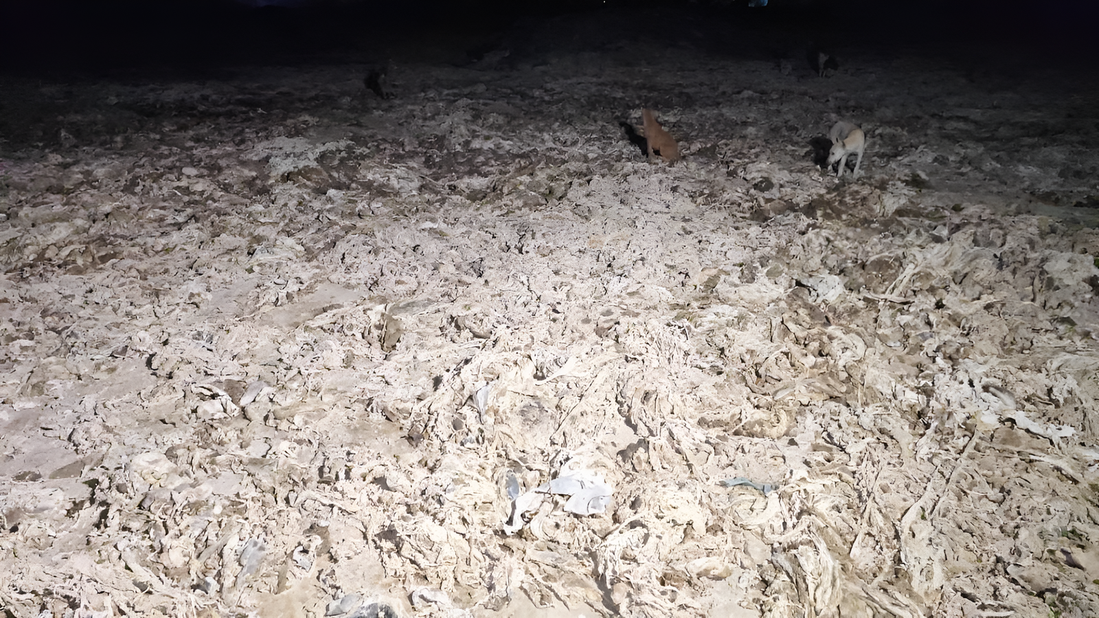 Vaniyambadi Residents Seize Trucks Carrying Leather Waste from Local Tanneries to Stop Illegal Dumping