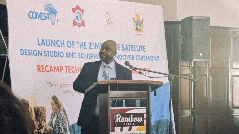 Zimbabwe Sets Up First Leather Design Studio to Boost Local Industry