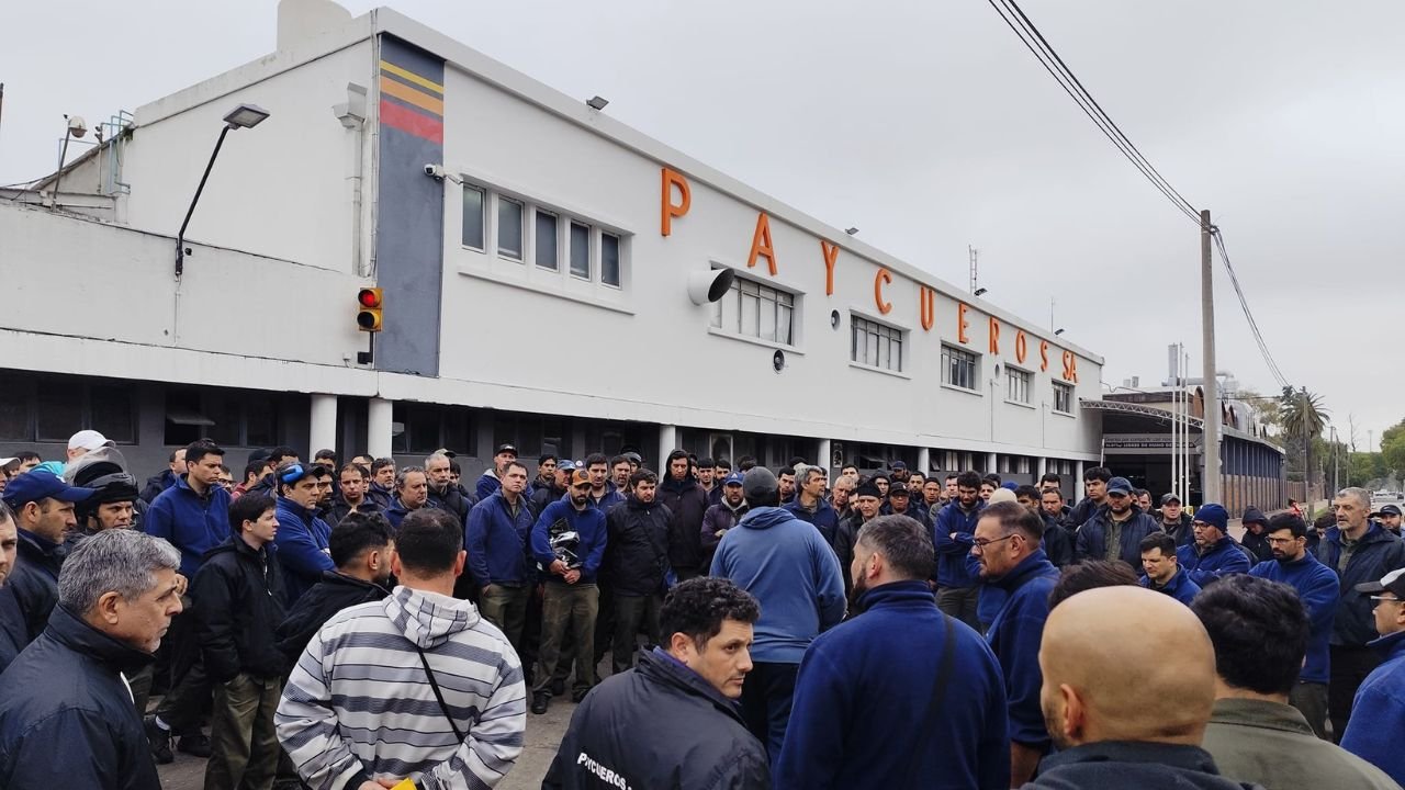 Paycueros Restructures Operations in Uruguay Amid Global Market Pressure and Declining Production Levels