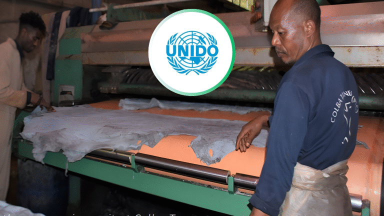 UNIDO and Ethiopian Ministries Develop New Training Curriculum for Ethiopian Leather Industry