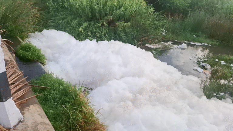 Residents of Marapattu Village Accuse Tanneries of Dumping Untreated Waste into Palar River