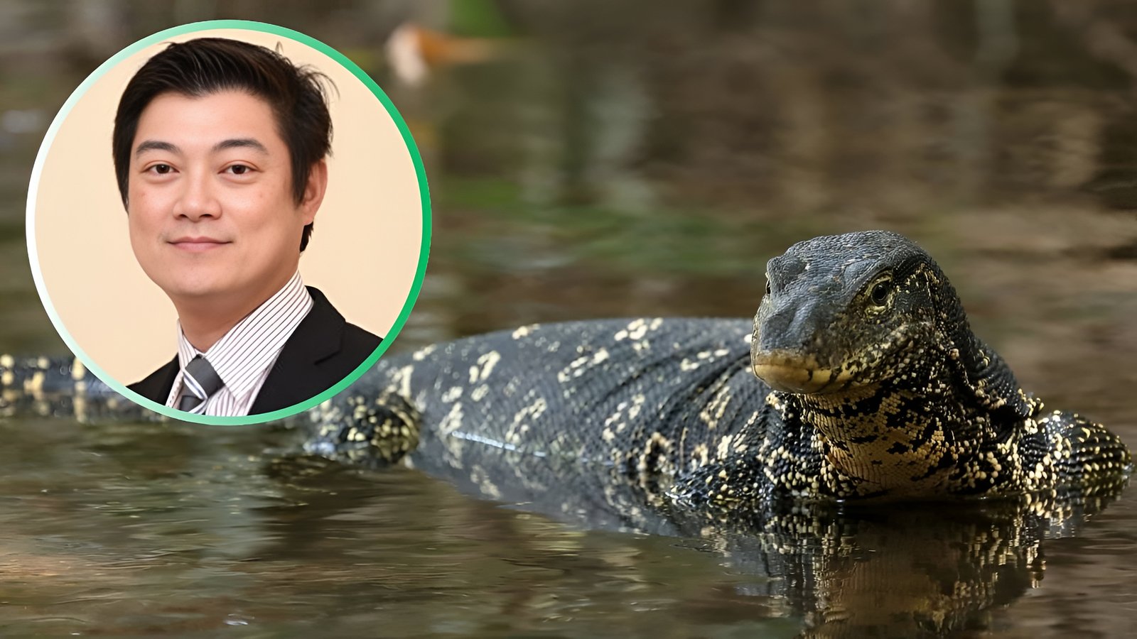 Thai Tanning Industry Association Welcomes Govt Approval of Water Monitor Farming for Commercial Purposes
