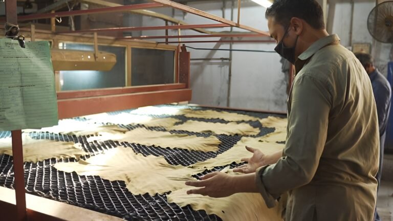 Pakistan Eases Leather Trade Rules With Removal of Health Certificate Requirement