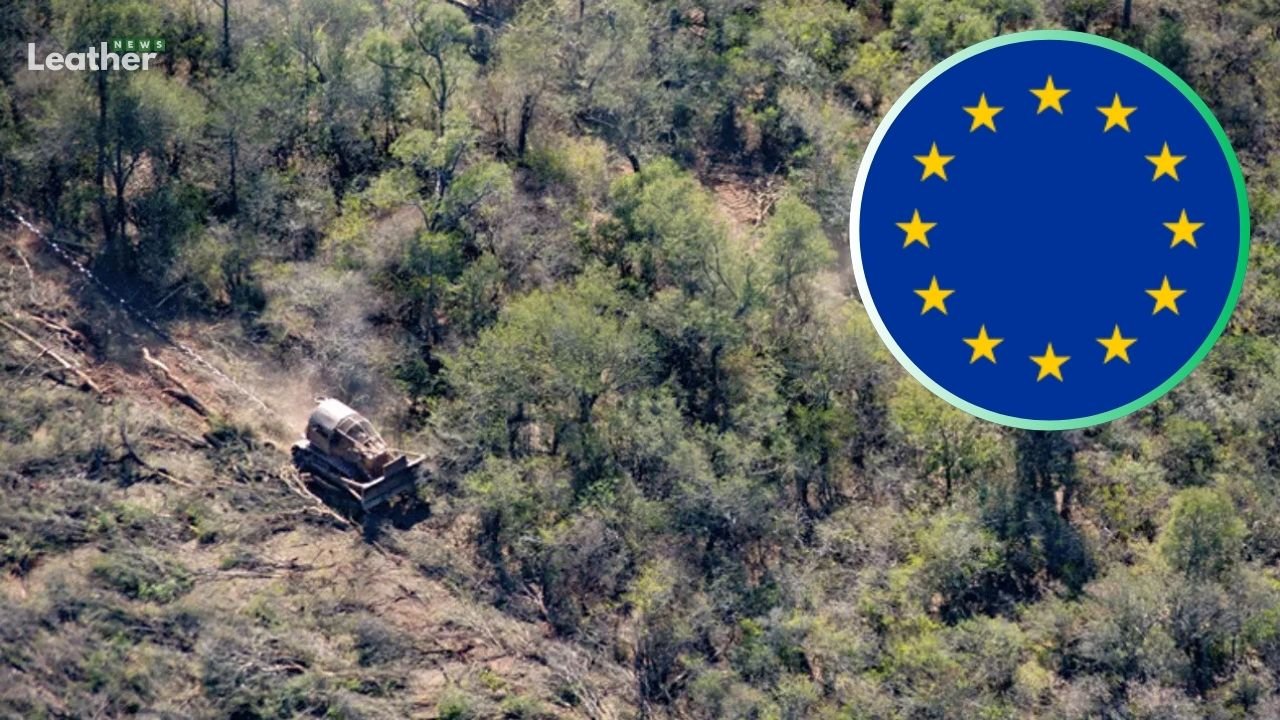 EU Deforestation Regulation Faces Another Delay and COTANCE Urges Leather Exemption
