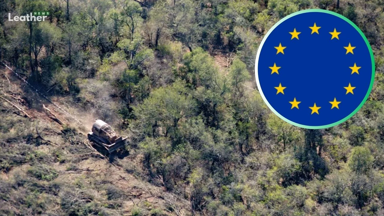 European Commission Reverses Delay on Anti-Deforestation Law