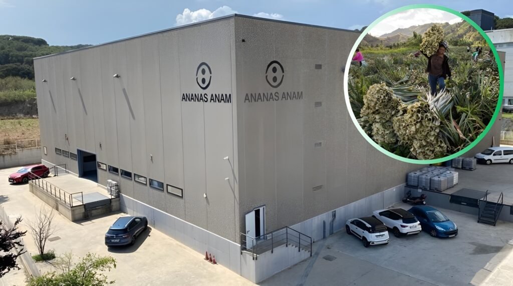 Piñatex Pineapple Leather Maker Ananas Anam Files for Insolvency After $2 Million Loss