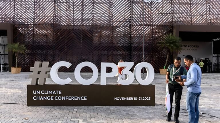 Over 25 Global Leather Organizations Urge COP30 to Recognize Leather’s Role with Updated Manifesto