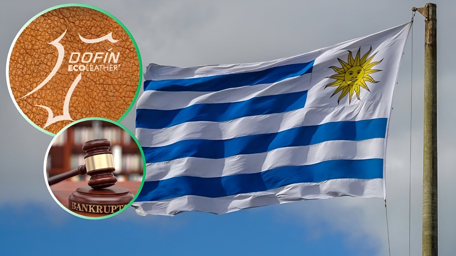 Dofin S A One of Uruguay’s Largest Tanneries Declares Voluntary Bankruptcy After 40 Years