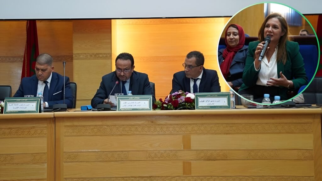 Fez Meknes Region in Morocco Presents $1.72 Billion Roadmap to Boost Leather Industry Growth