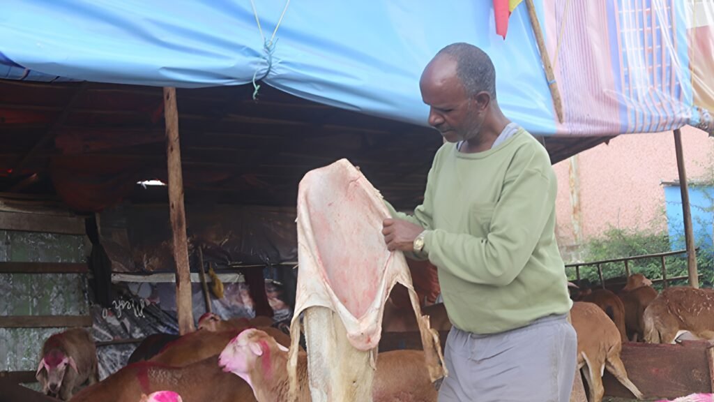 Ethiopia Plans Ban on Raw Hides Export to Save its Leather Industry