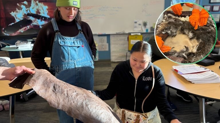 High School Students Learn Leather Making From Deer Skins in Alaska