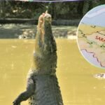 Sarawak Region in Malaysia Considers Thailand Style Crocodile Farming for Meat and Leather
