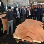 Egypt Pushes to Make Robbiki Leather City a Regional Industry Hub