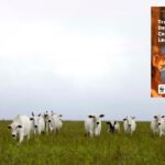 WWF Partners with LWG to Launch Traceability Guide for Deforestation Free Leather