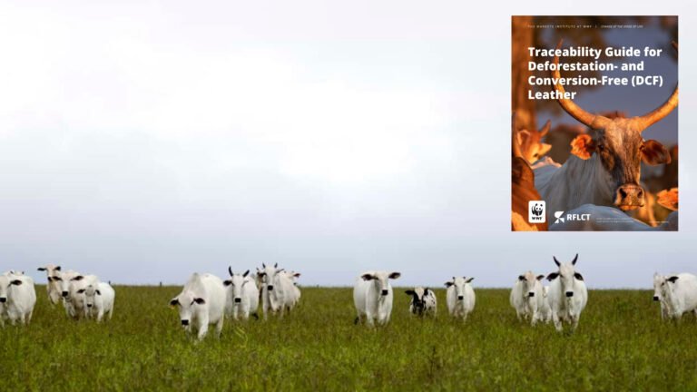 WWF Partners with LWG to Launch Traceability Guide for Deforestation Free Leather