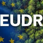 Leather Industry Bodies Call on European Commission to Drop Leather from EUDR