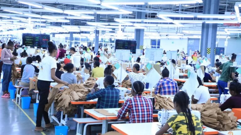 ILO and Japan Launch New Plan to Make Ethiopian Leather and Garment Sector Climate Ready