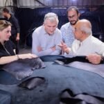 Robbiki Leather City Advances Productivity and Working Conditions With ILO Support