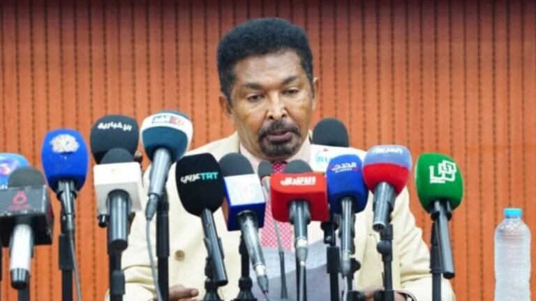 Sudan Announces Plan to Fix Leather Industry and Stop Millions in Annual Losses