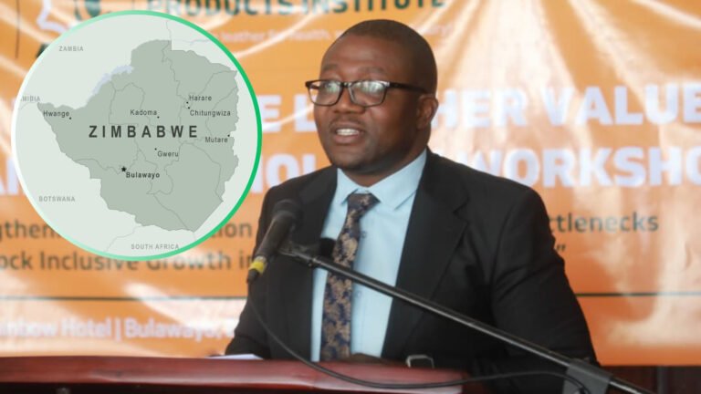 Zimbabwe Industry Minister Pushes Value Addition Over Raw Hide Exports