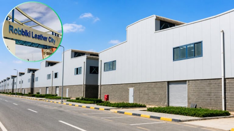 Egypt Opens Applications for 36 Leather Production and Industrial Units in Robbiki Leather City