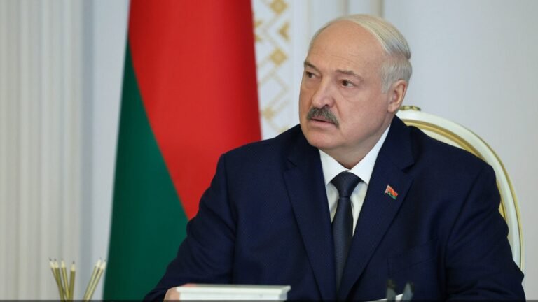 Belarus Removes Export Duty on Tanned and Crust Leather for 2026 and 2027