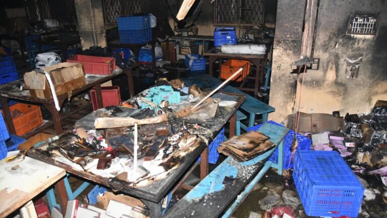 Two Dead and Three Injured After Fire Breaks Out at Leather Goods Unit in Tiljala Kolkata