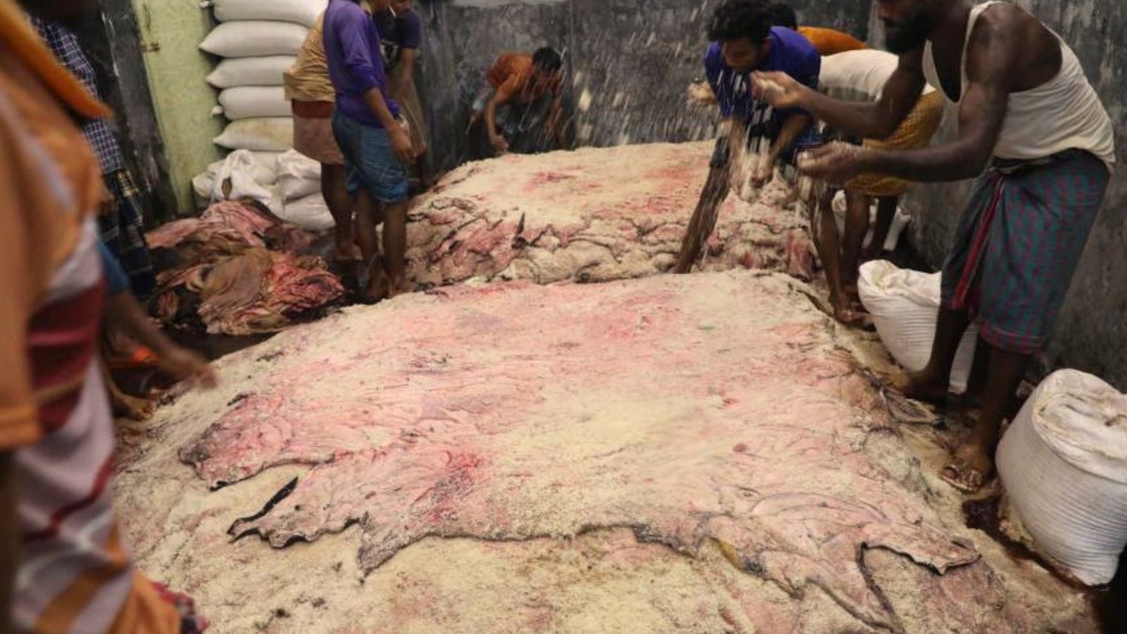 Chattogram Rawhide Traders Demand Urgent Government Support Ahead of Eid al-Adha