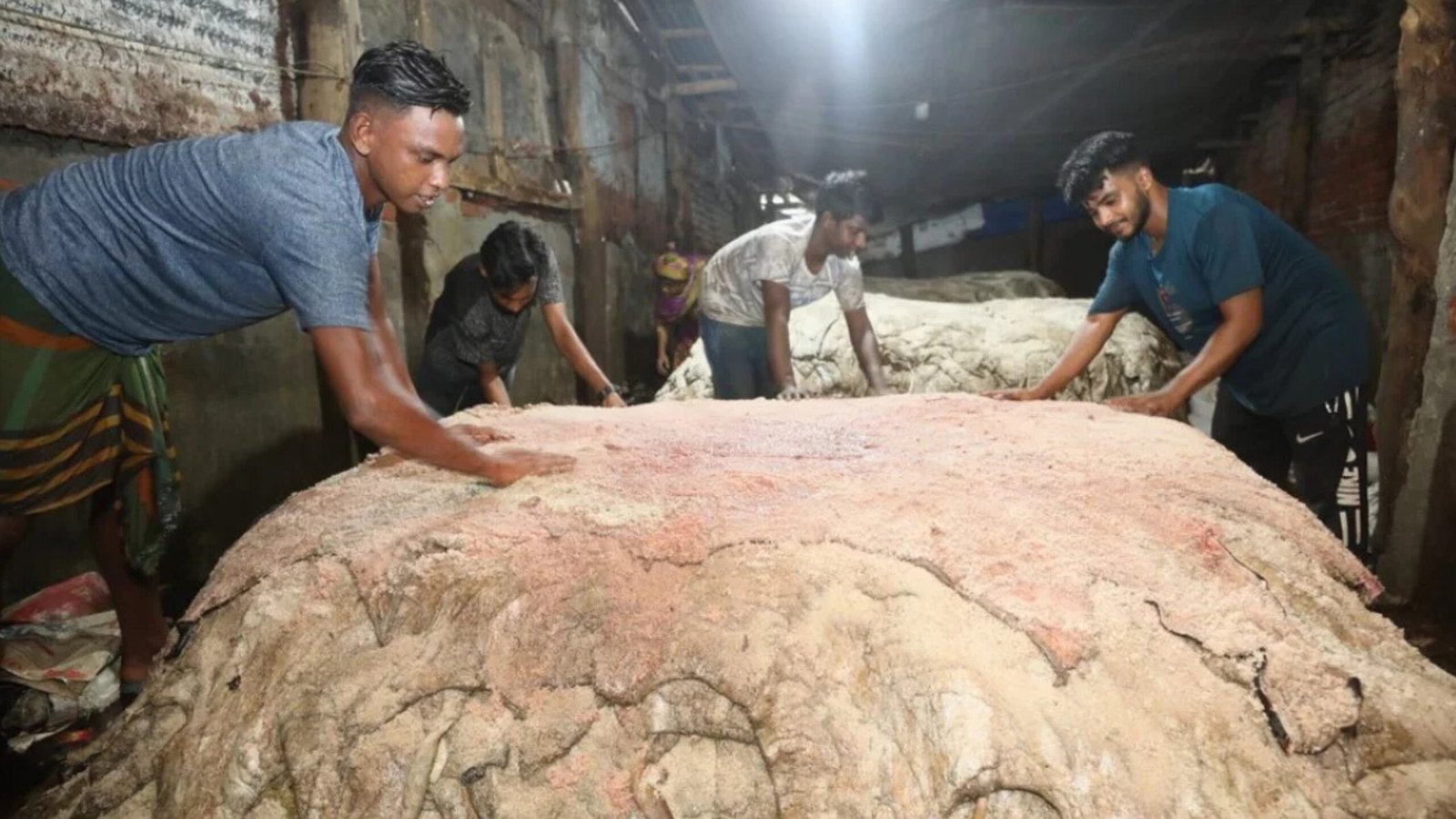 Savar Tannery Industrial Estate Receives Over 79,000 Raw Hides on the Day of Eid-ul-Adha