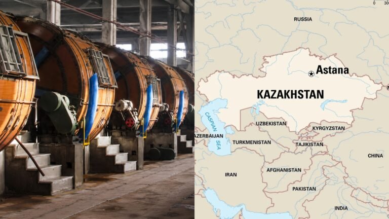 Kazakhstan Leather Production Rises 36% in First 5 Months of 2026