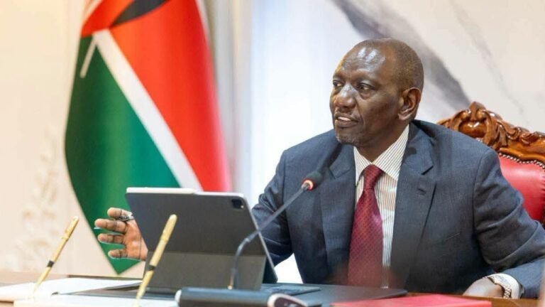 Kenya Cabinet Approves $44.8 Million Leather Value Chain Development Support Project